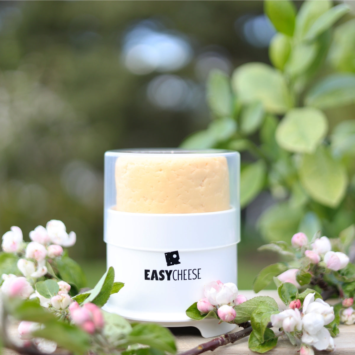 EasyCheese Hringlaga - Hvítt
