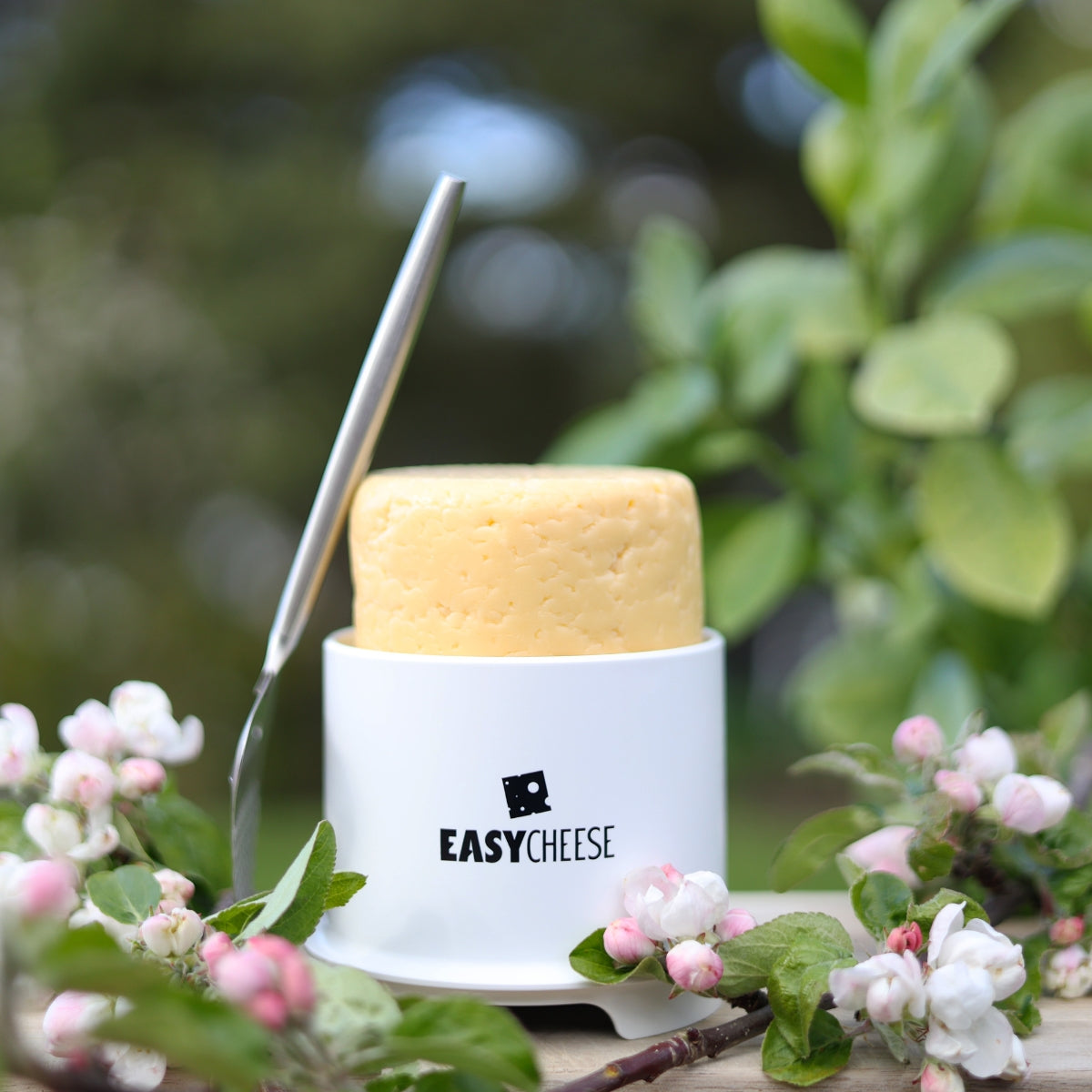 Pakkatilboð! EasyCheese Hringlaga - Hvítt og Monaco ostaskeri